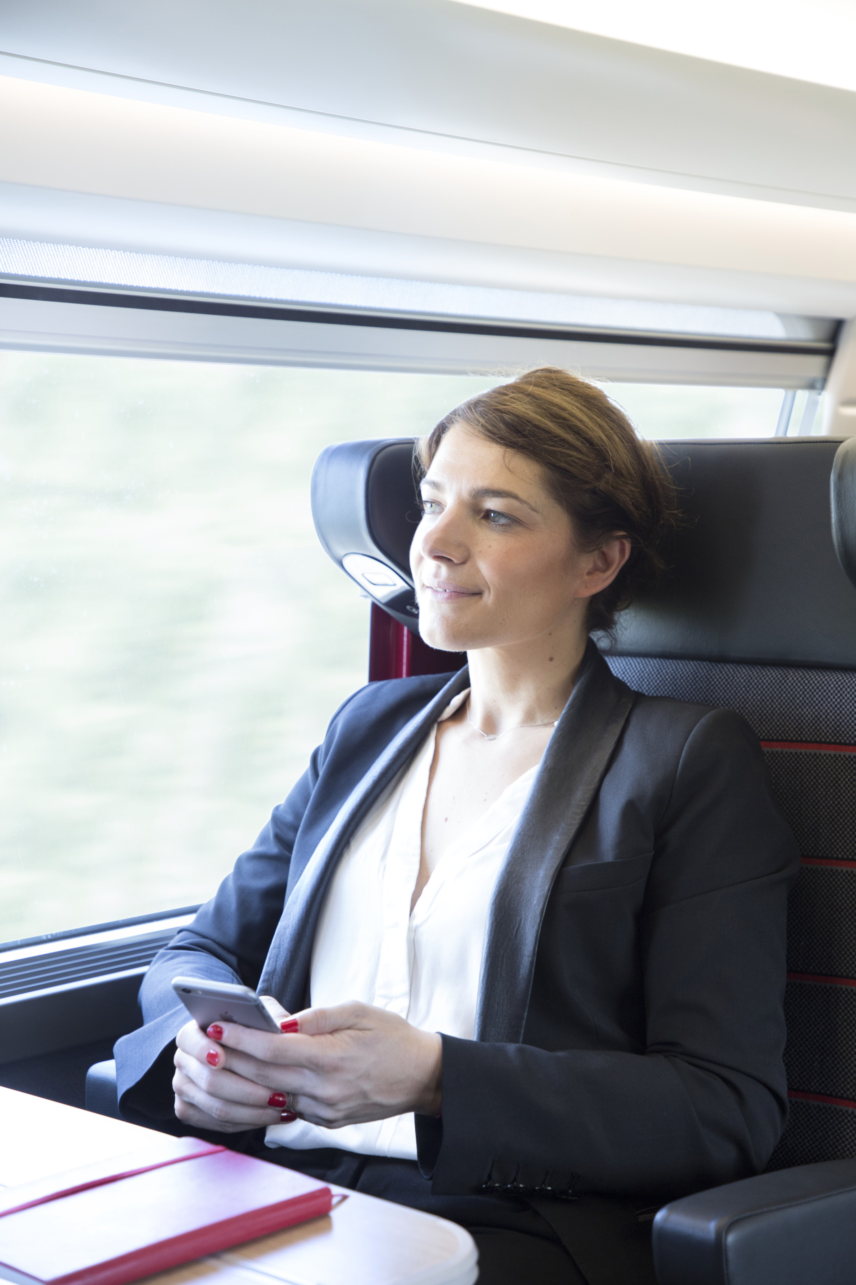 Tarifs pros. Femme dans un train