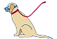 Chien muselé et en laisse
