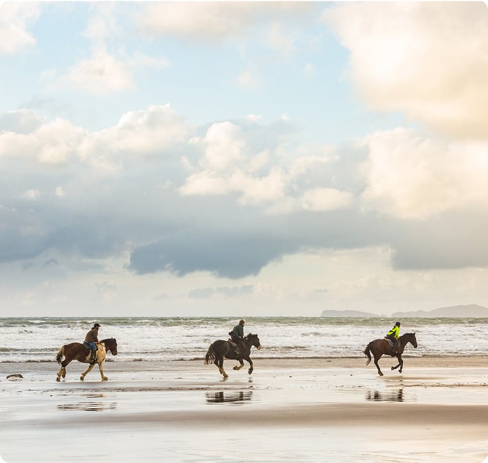 Des cavaliers galopant sur une plage au bord de l’eau