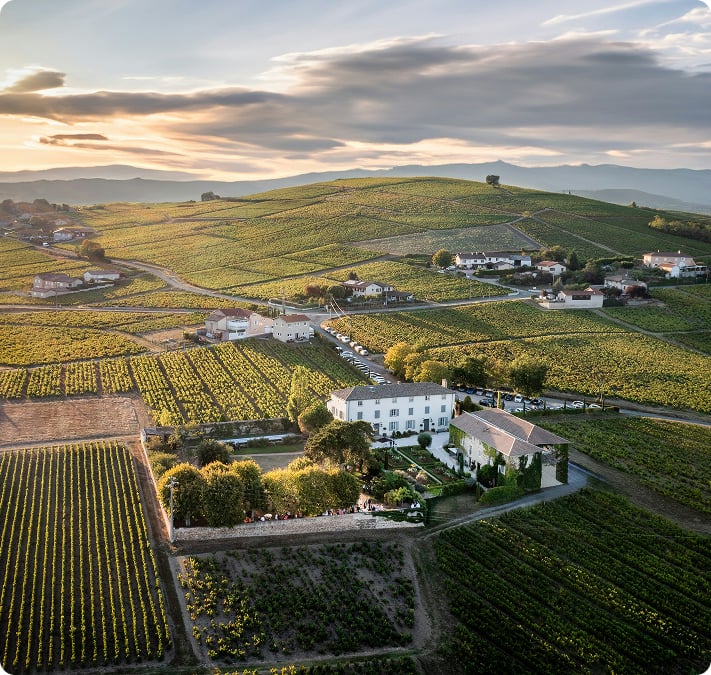 Vue aérienne d’un domaine entouré de vignes au coucher du soleil