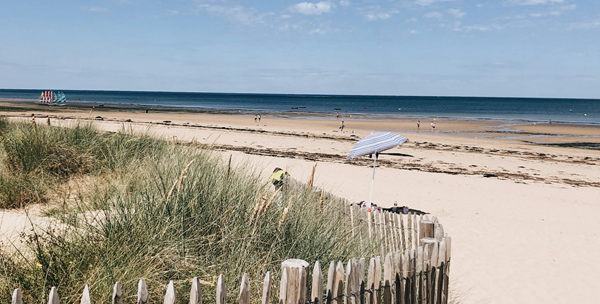 Une plage de sable bordée de dunes et de ganivelles